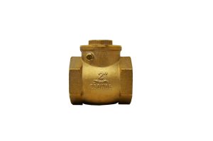 BCV Series 200 PSI Brass Check Valve