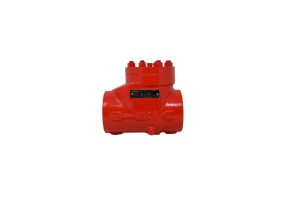 C Series WCB Swing Check Valve – 3″ 5K with Bolted Cap