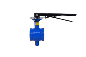 G Series Grooved End Butterfly Valve