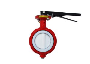 RNW Teflon Series Butterfly Valve