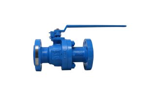 RTJ Flanged End Ball Valve