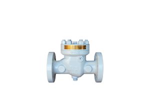 API 6D Flanged Check Valve